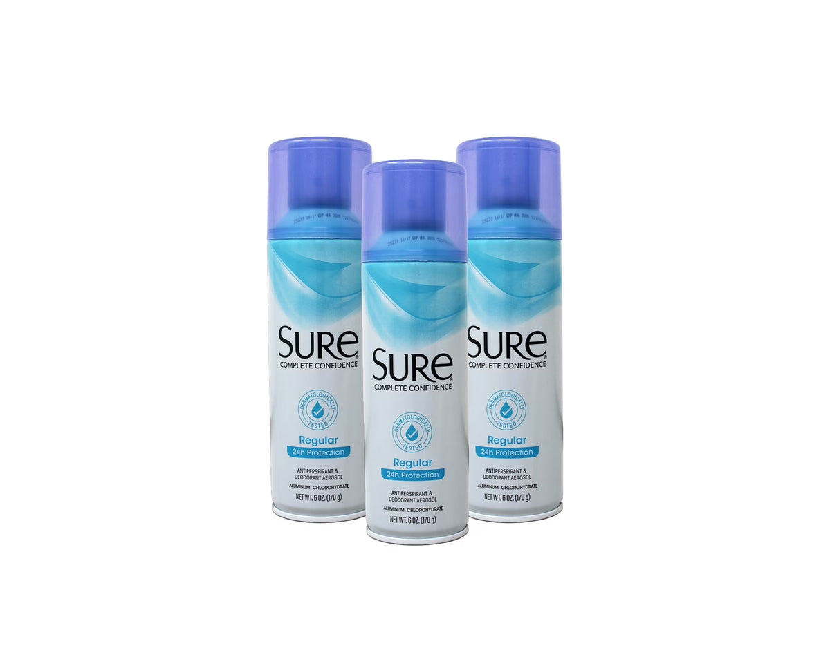 Regular Scent Aerosol Antiperspirant and Deodorant - 48-Hour Protection Deodorant for Men and Women - Fast Drying Spray Deodorant - 6 Oz (Pack of 3)
